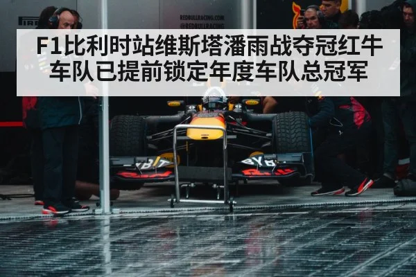 Red Bull racing team