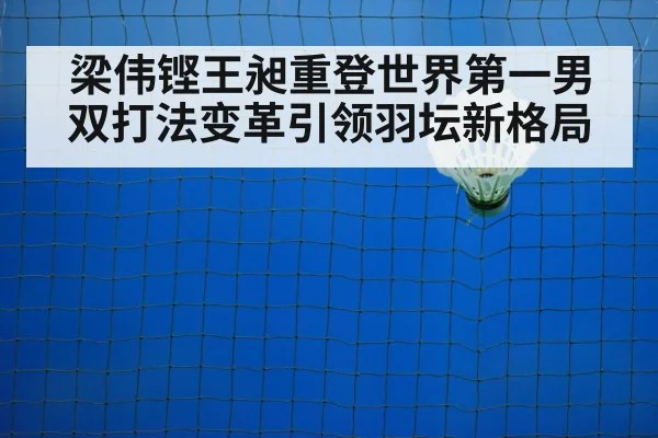 badminton net play